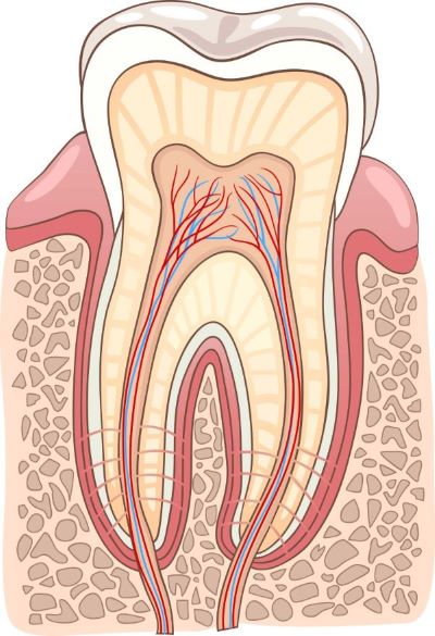 Are Root Canal Treatments bad?